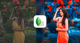 What Are Defining Snapseed Features?